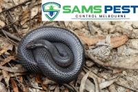 SAMS Snake Control Melbourne image 3